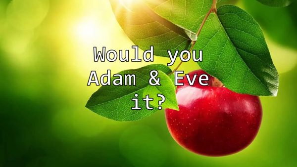 Would you Adam & Eve it? Pt2 Image