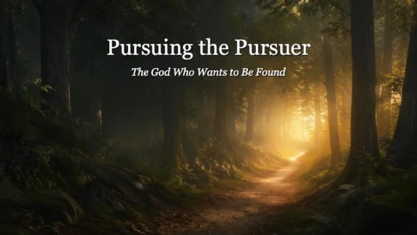 Pursuing the Pursuer: The God who wants to be found Image